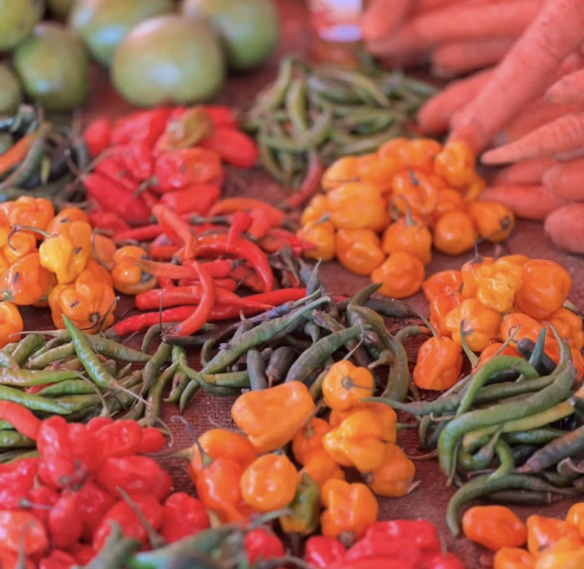 Zanzibar Island Essence - Spice Farm & Paje