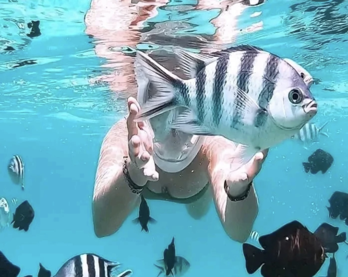 Zanzibar Blue Odyssey - Mnemba Island